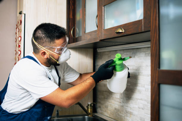 Best Affordable Pest Control Services  in Hazelwood, MO