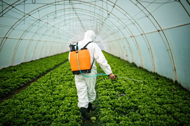 Best Pest Inspection Near Me  in Hazelwood, MO