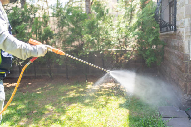 Trusted Hazelwood, MO Pest Control Experts